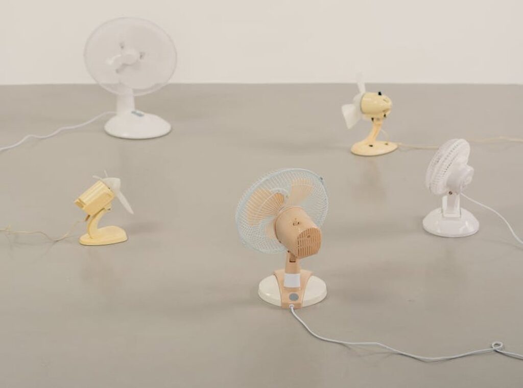 Tobeca Eavazlti Fans