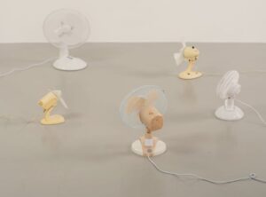 Tobeca Eavazlti Fans