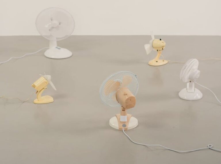 Tobeca Eavazlti Fans